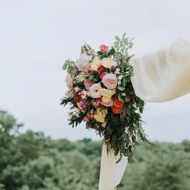 A bouquet of roses